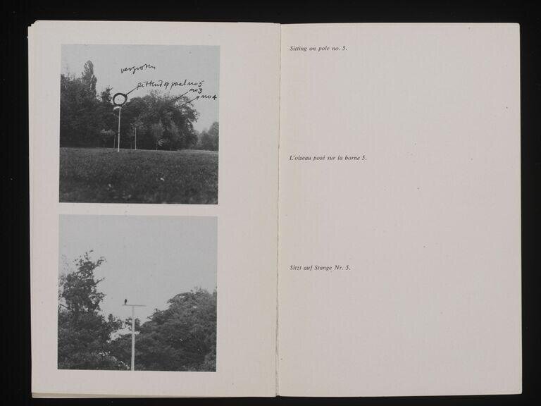 Robin Redbreast's territory : sculpture 1969
