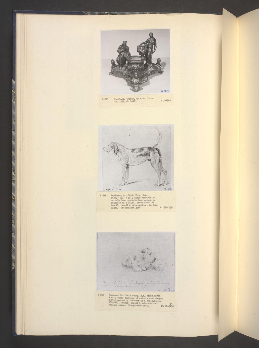 Edwin Landseer, Drawing of a dog