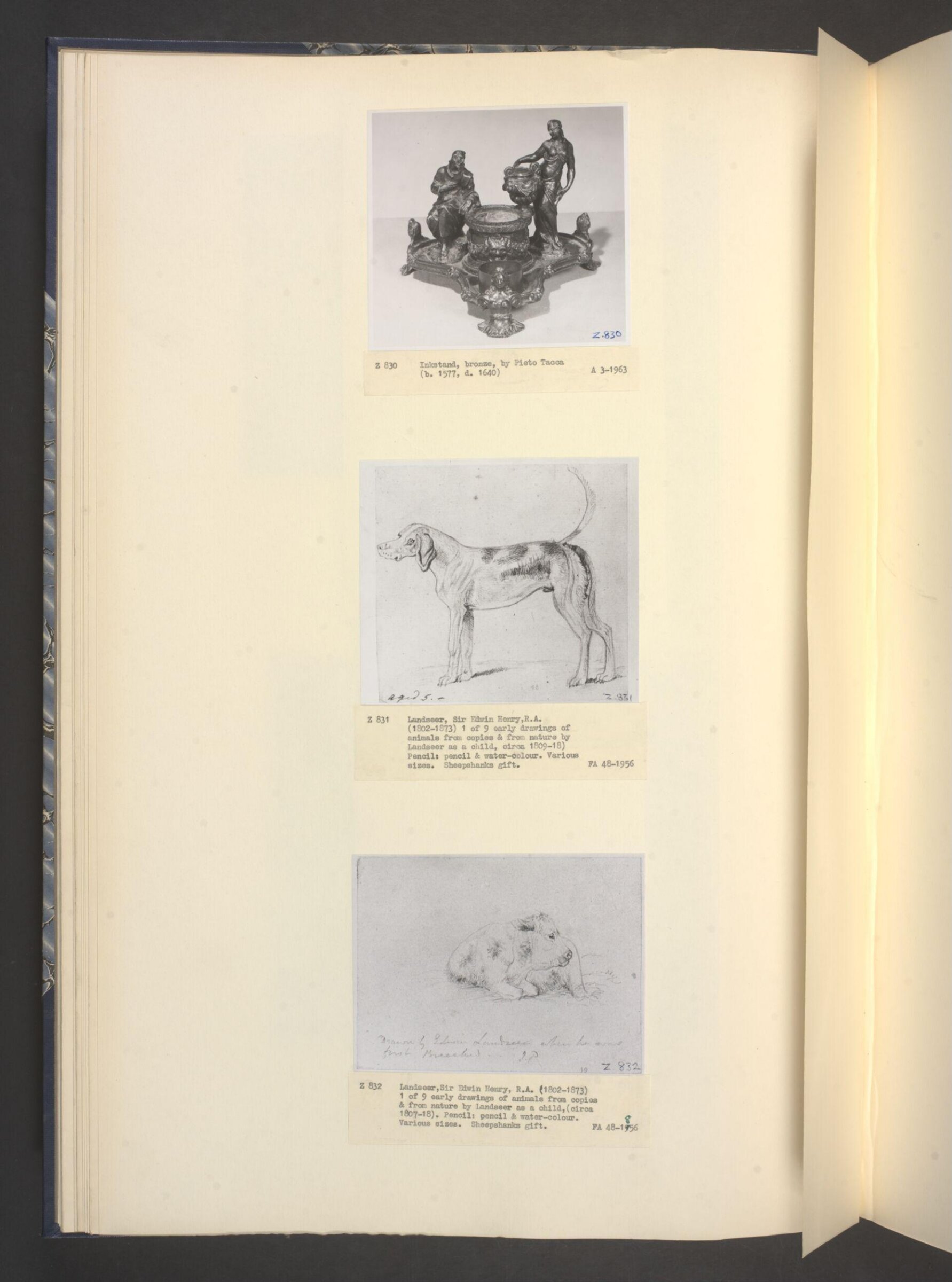 Drawing of a dog, Edwin Landseer, ca. 1805-1818