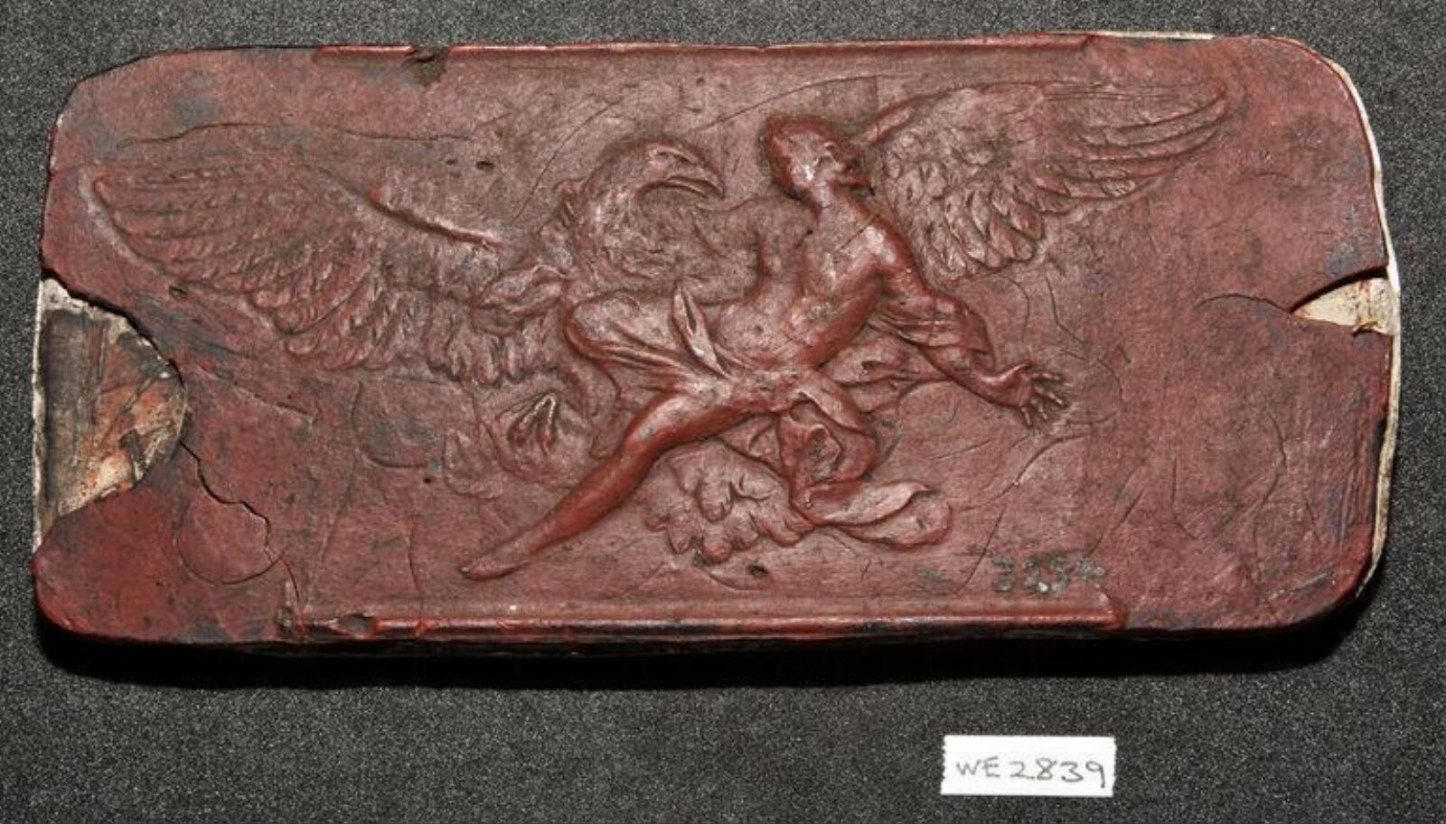 Wax model