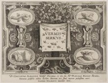 Title plate of Vermis Sericus thumbnail 1