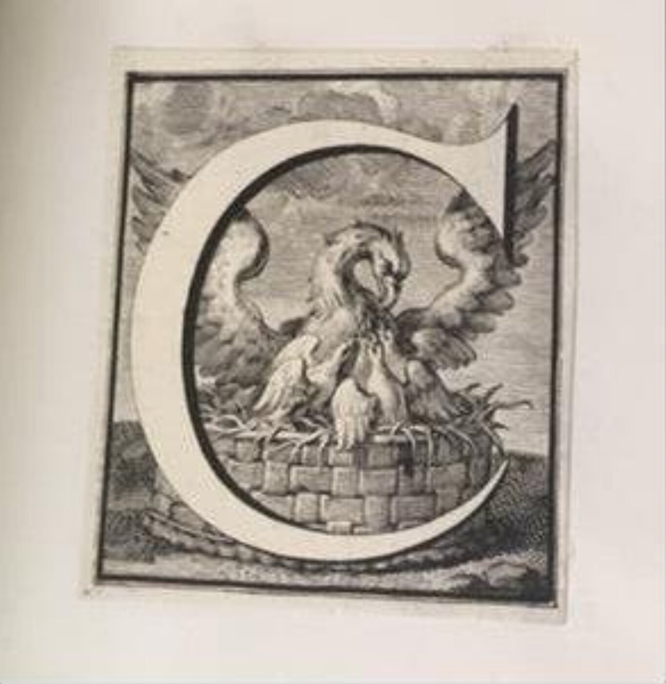 unknown, Print