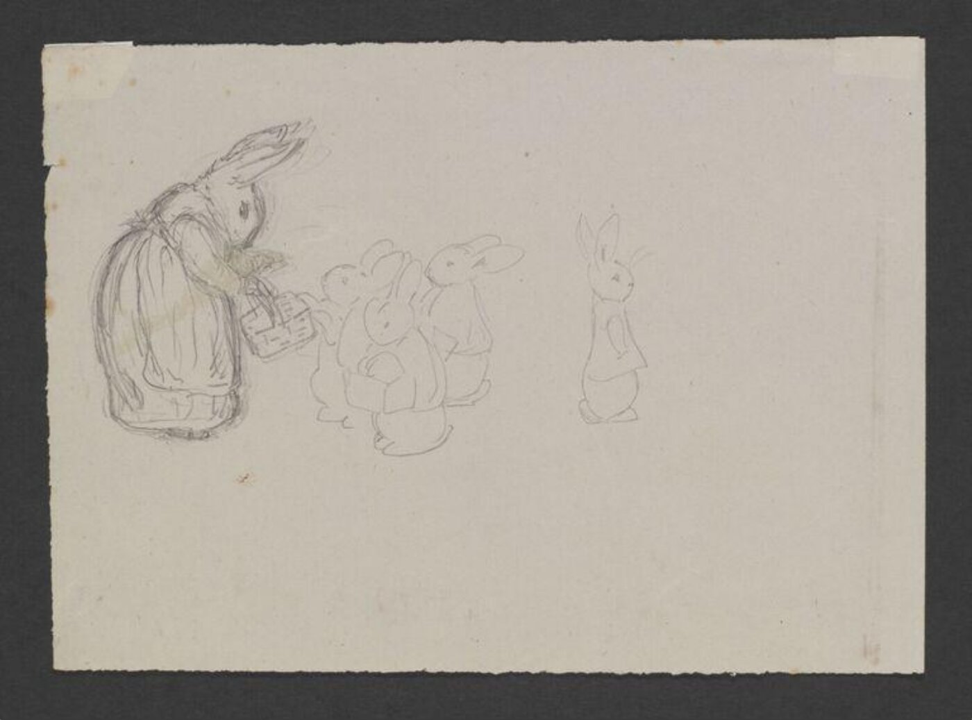 Potter, Beatrix, drawing