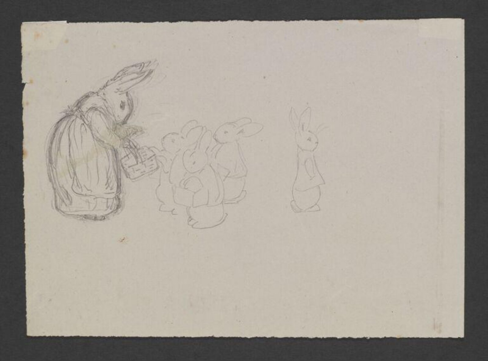 drawing, Beatrix Potter, 1900-1