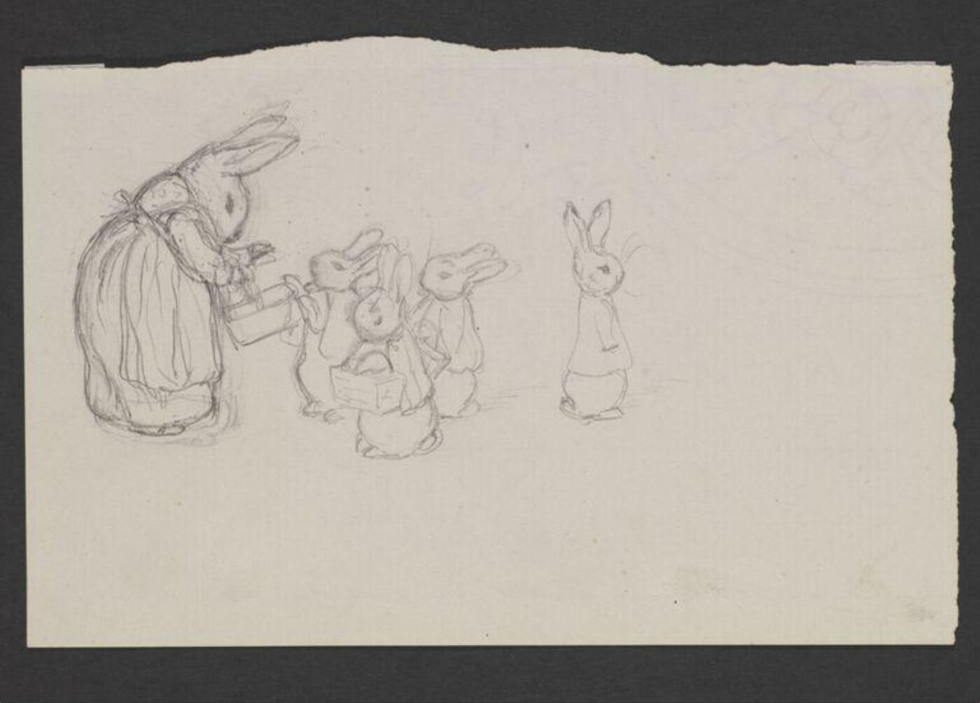Potter, Beatrix, drawing