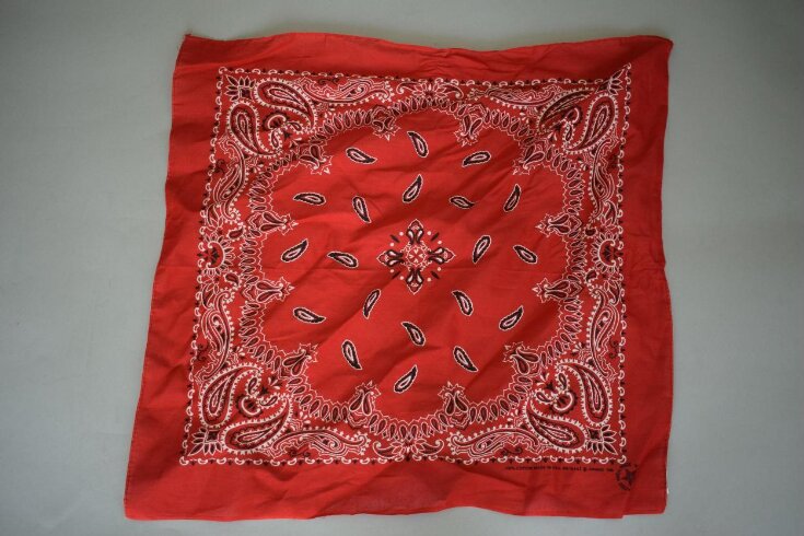 Bandana top image