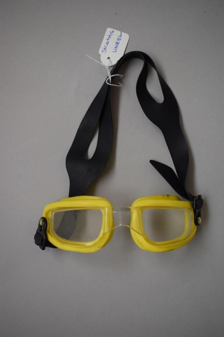 Goggles top image