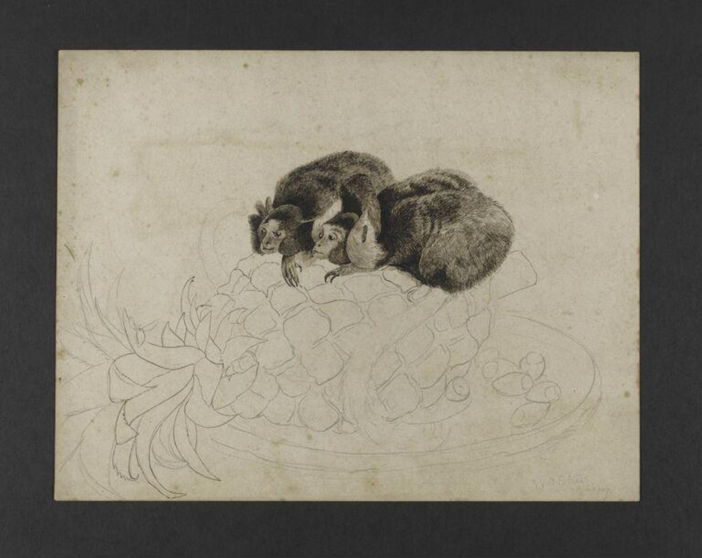 Drawing, Bertram Potter, ca. 1890s