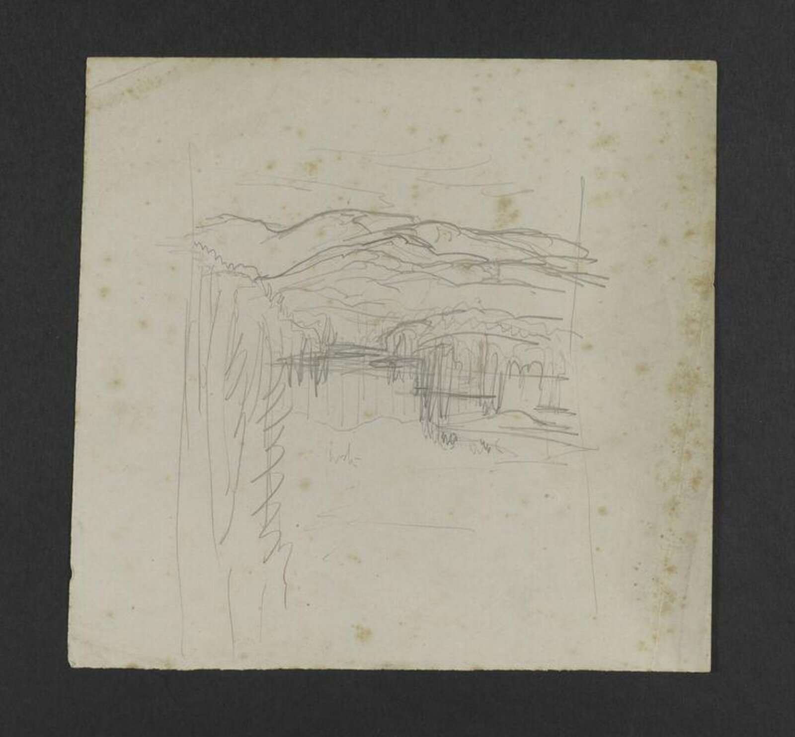 Drawing, Beatrix Potter, 1890-1930