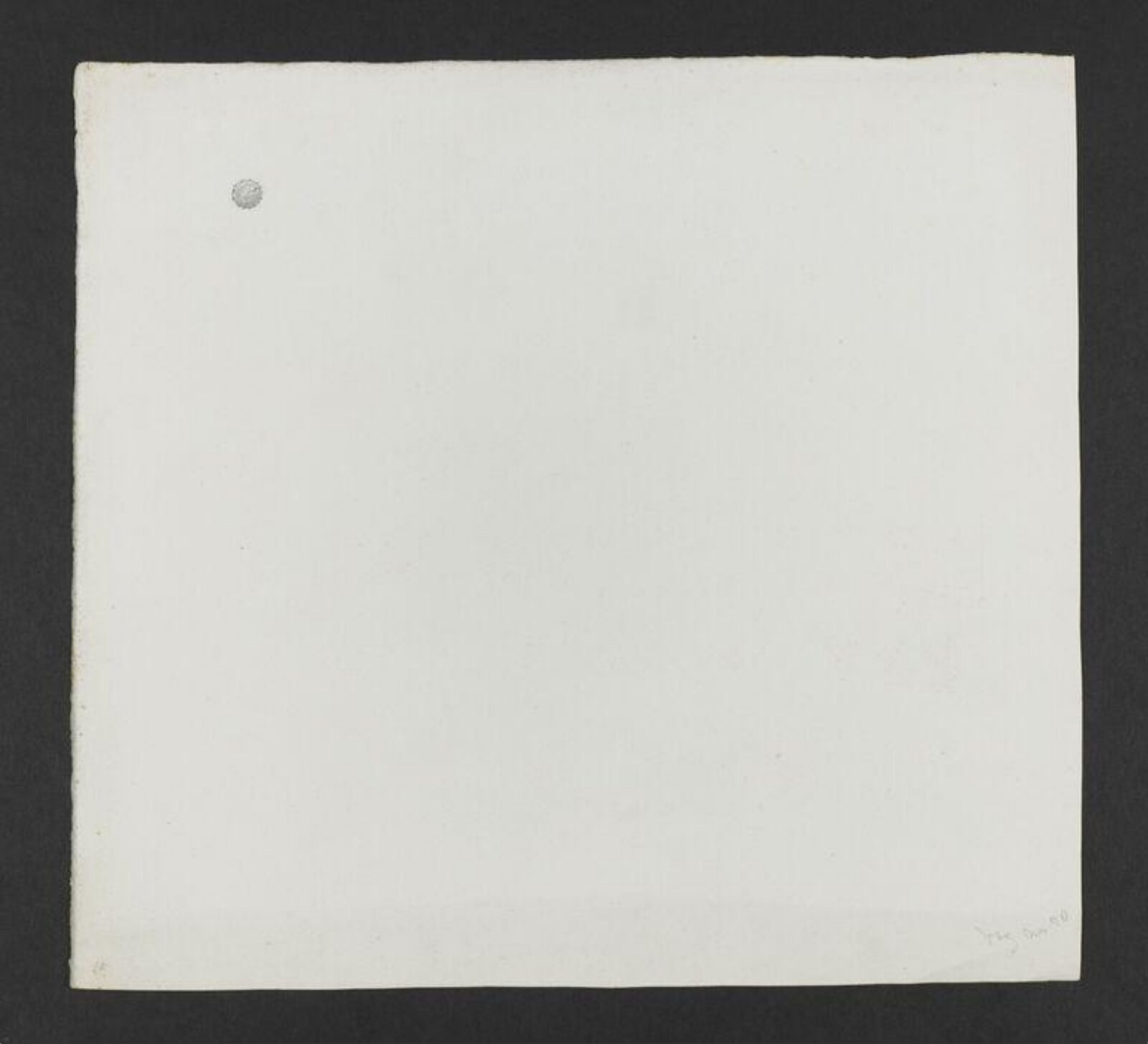 Drawing, Beatrix Potter, late 1890s