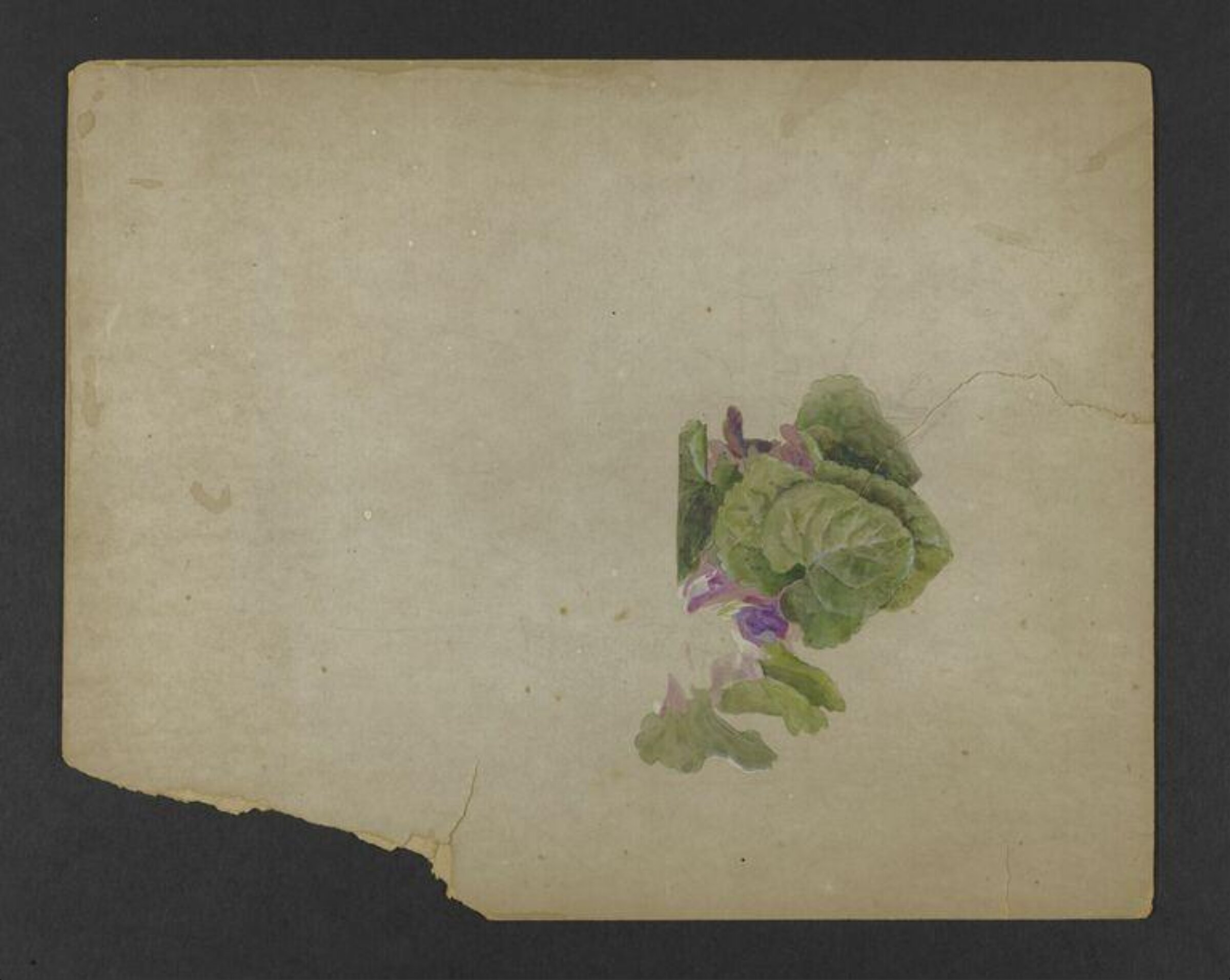 Watercolour, Beatrix Potter, ca. 1890s