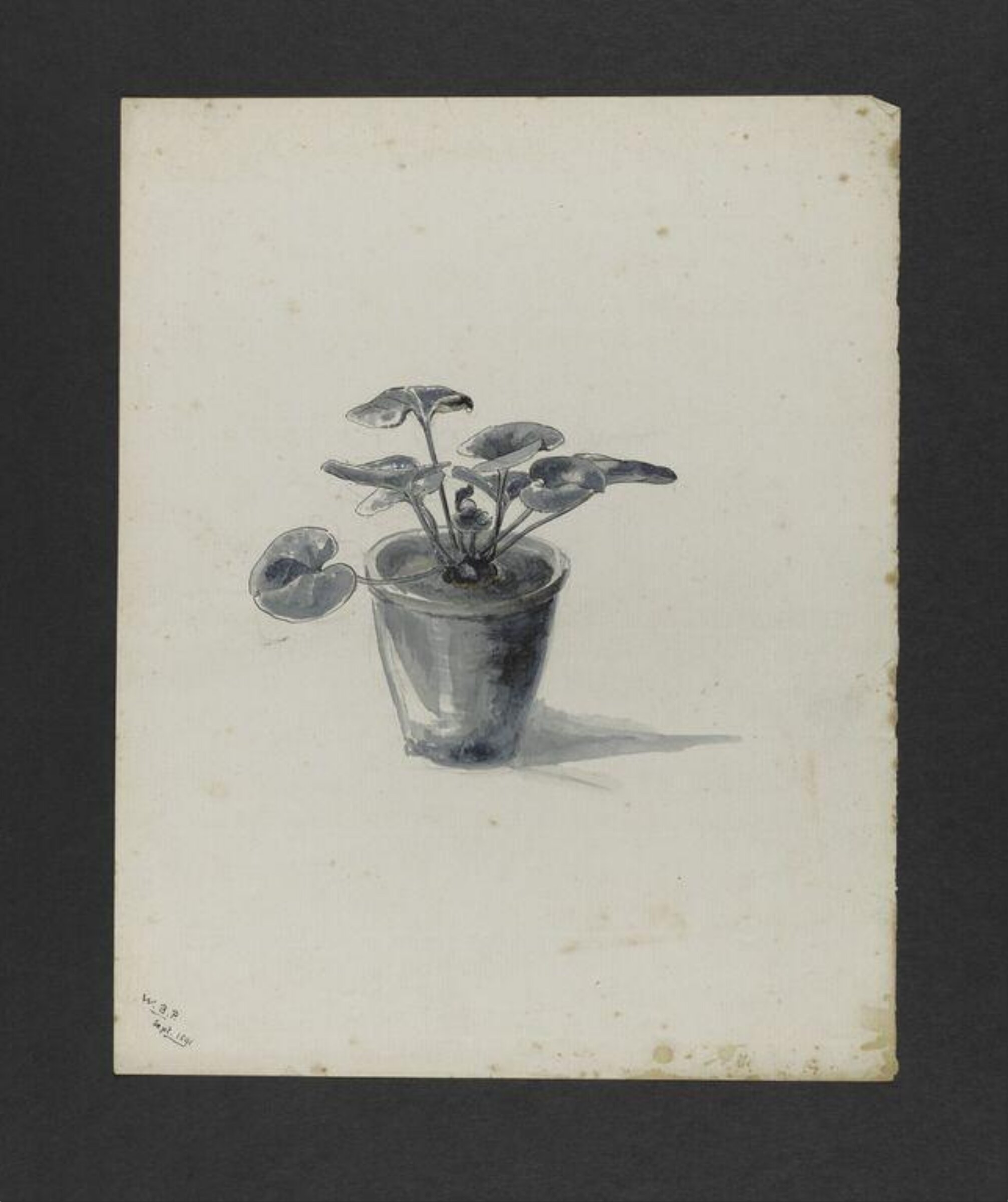 Watercolour, Bertram Potter, September 1891