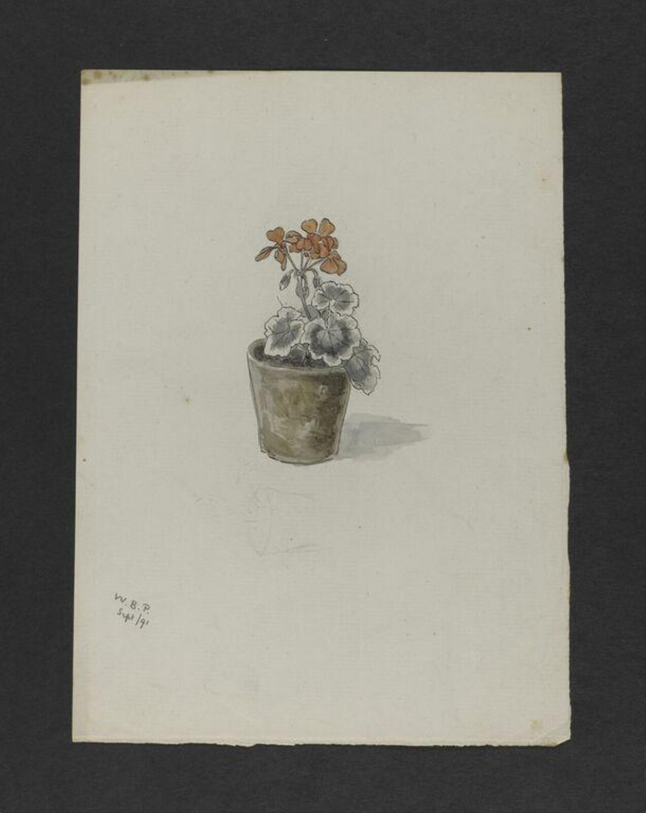 Watercolour, Bertram Potter, September 1891