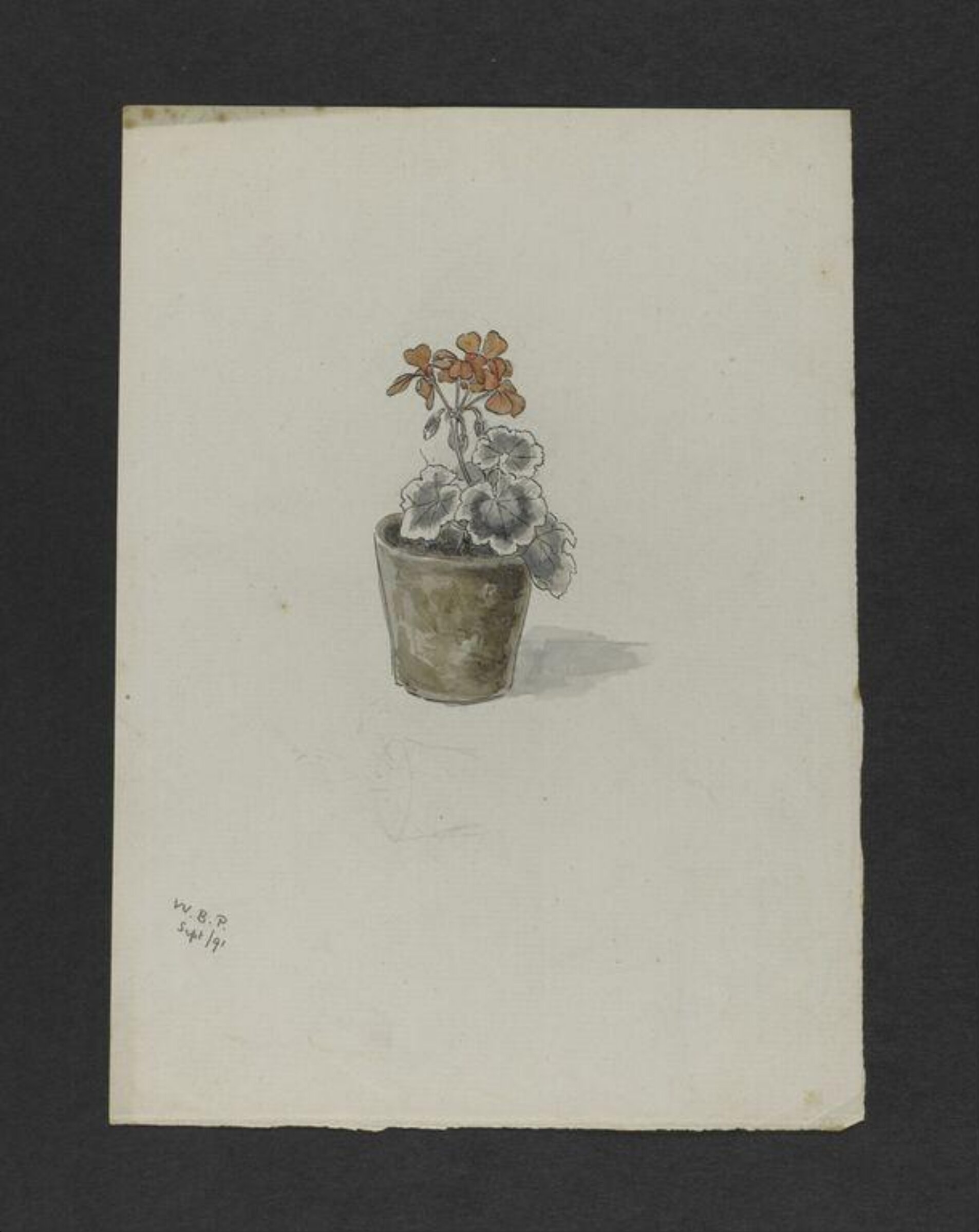 Watercolour, Bertram Potter, September 1891