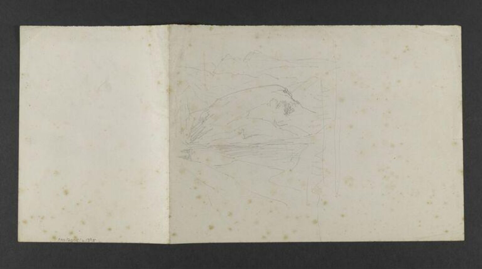 Drawing, Beatrix Potter, 1890-1930