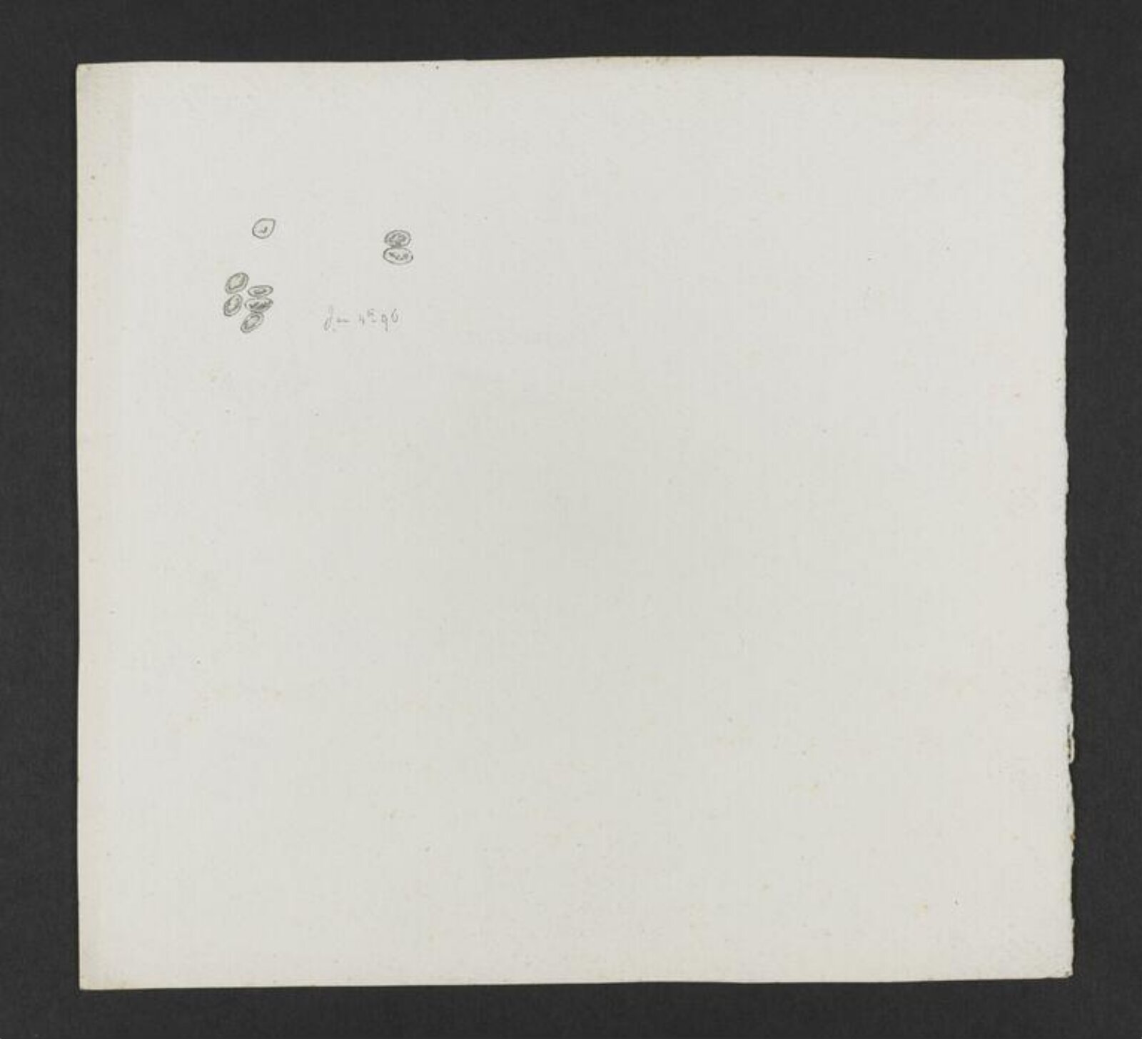 Drawing, Beatrix Potter, 4 January 1896