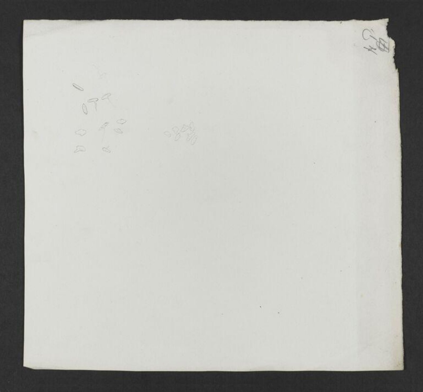 Drawing, Beatrix Potter, late 1890s