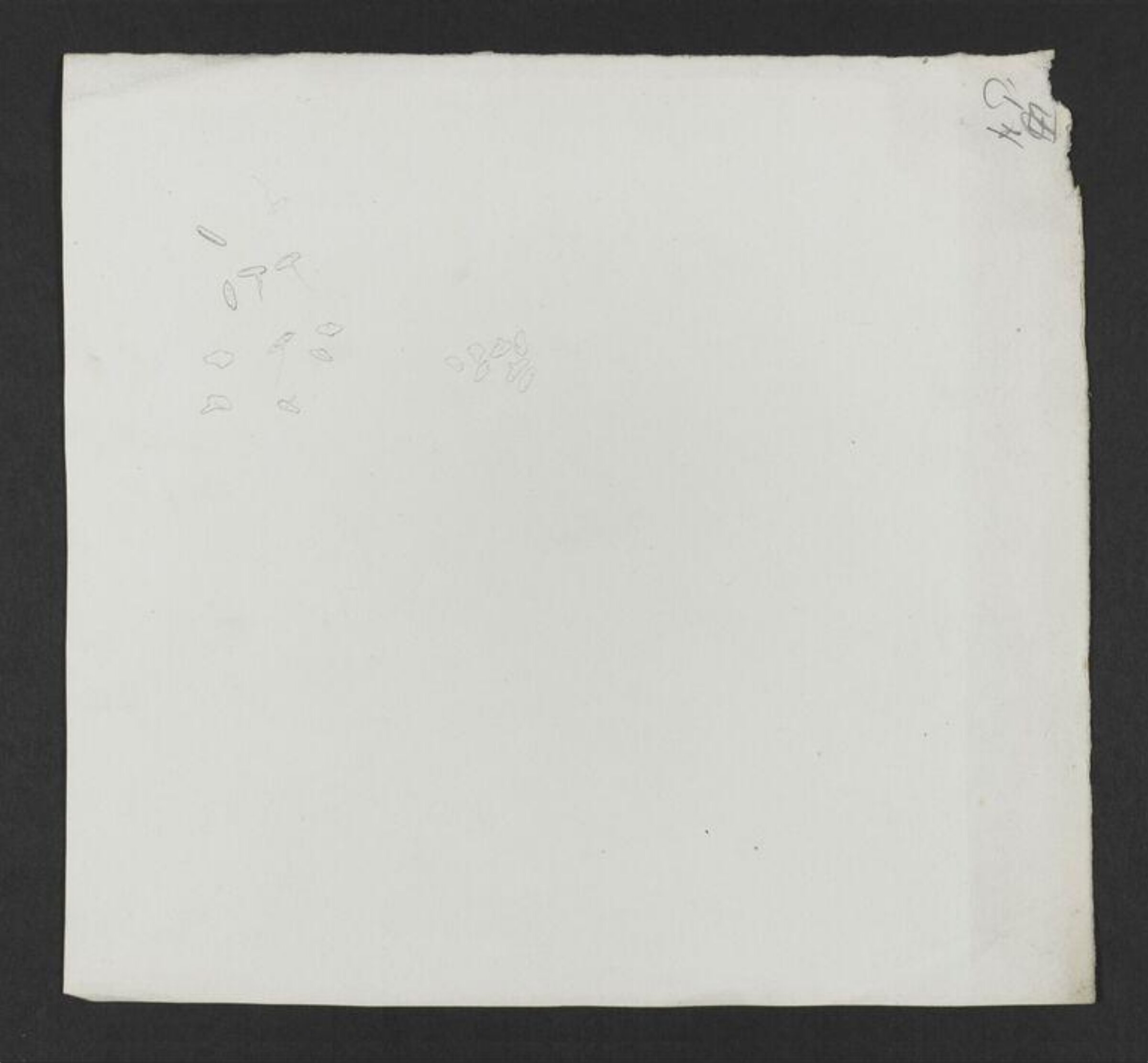 Drawing, Beatrix Potter, late 1890s