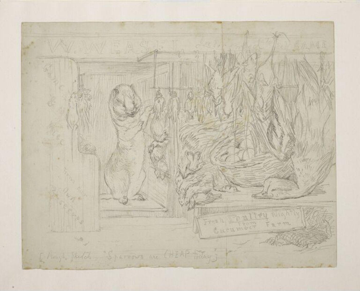 Potter, Beatrix, The Weasel's Poultry Shop