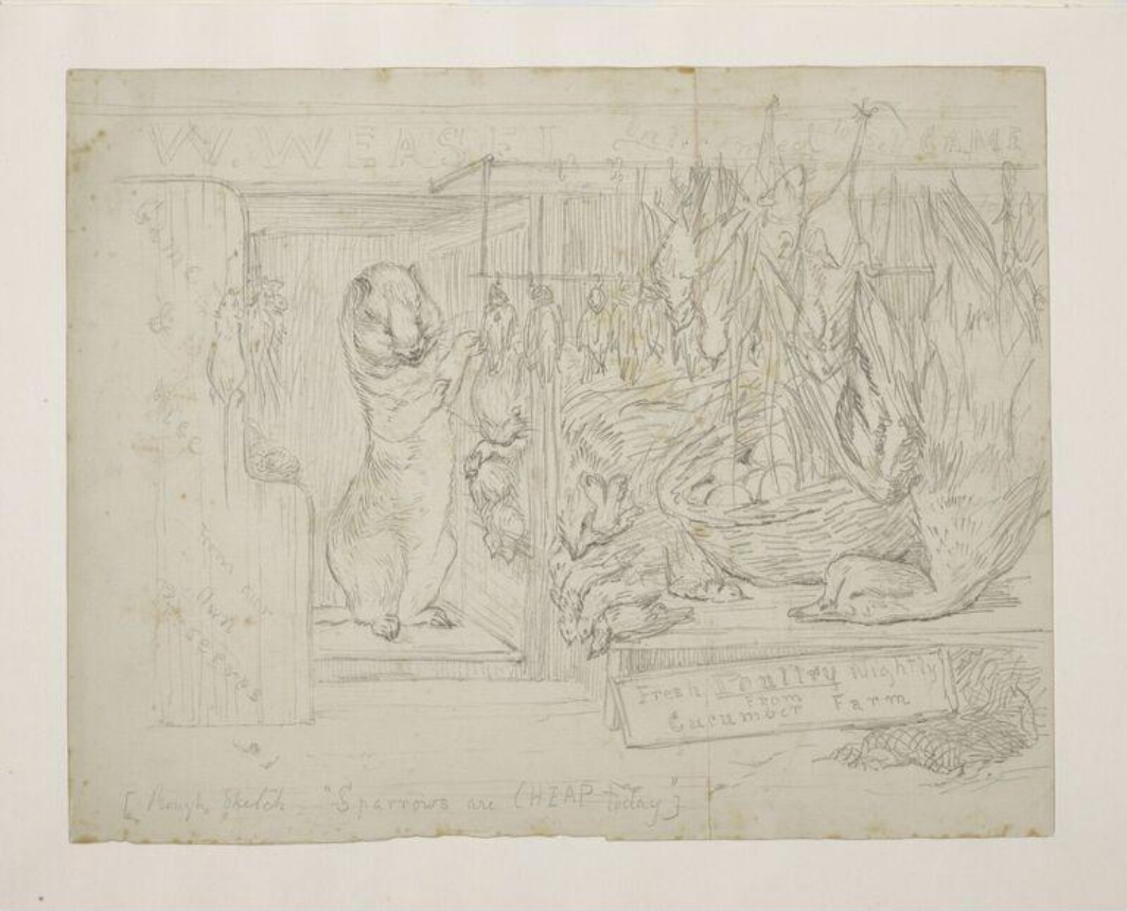 The Weasel's Poultry Shop, Beatrix Potter, ca. 1891