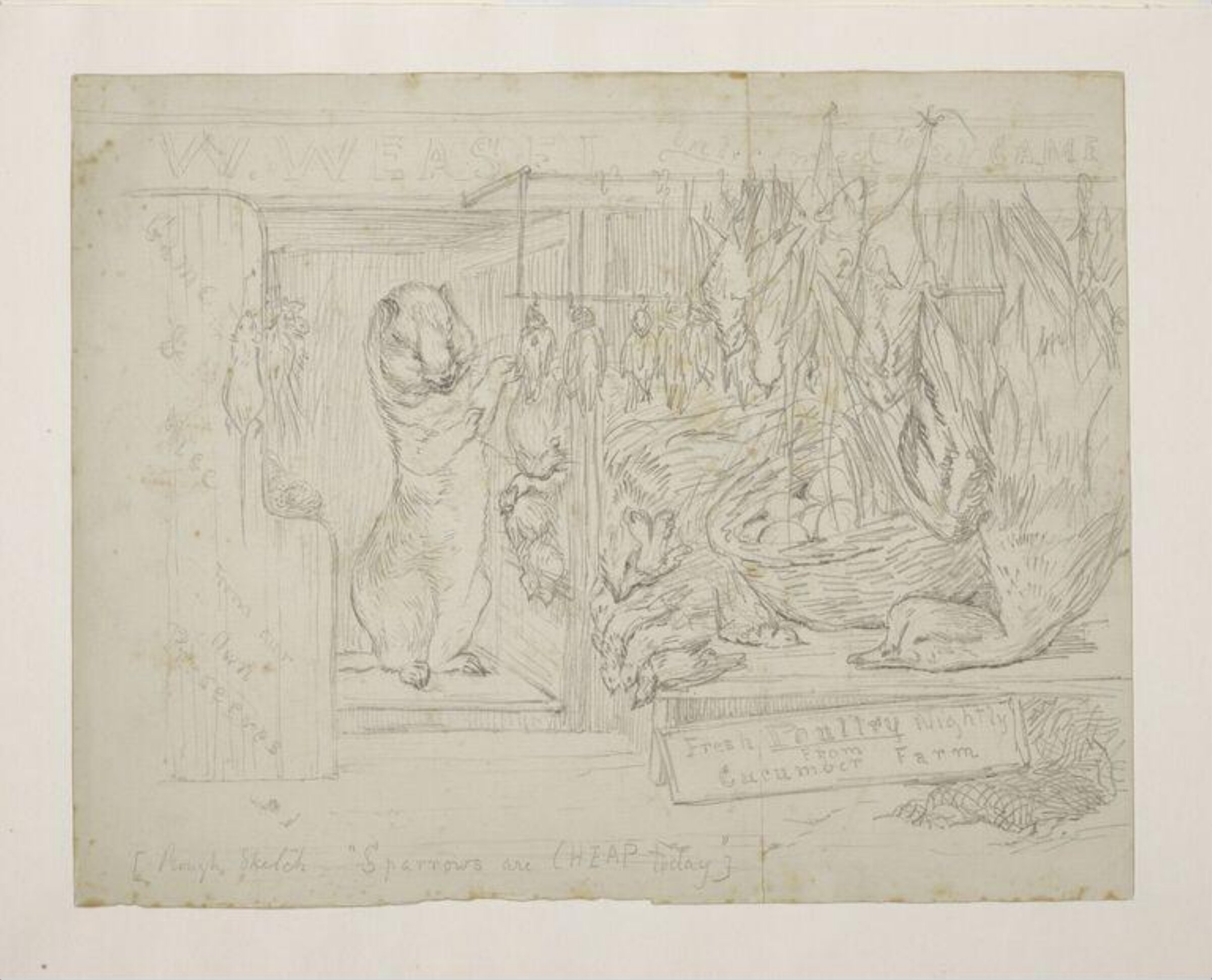 The Weasel's Poultry Shop, Beatrix Potter, ca. 1891