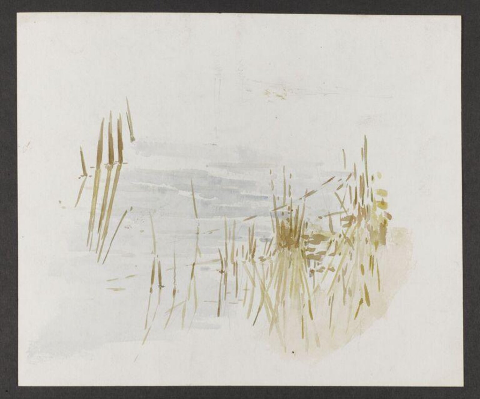 Watercolour, Beatrix Potter, late 19th century - early 20th century