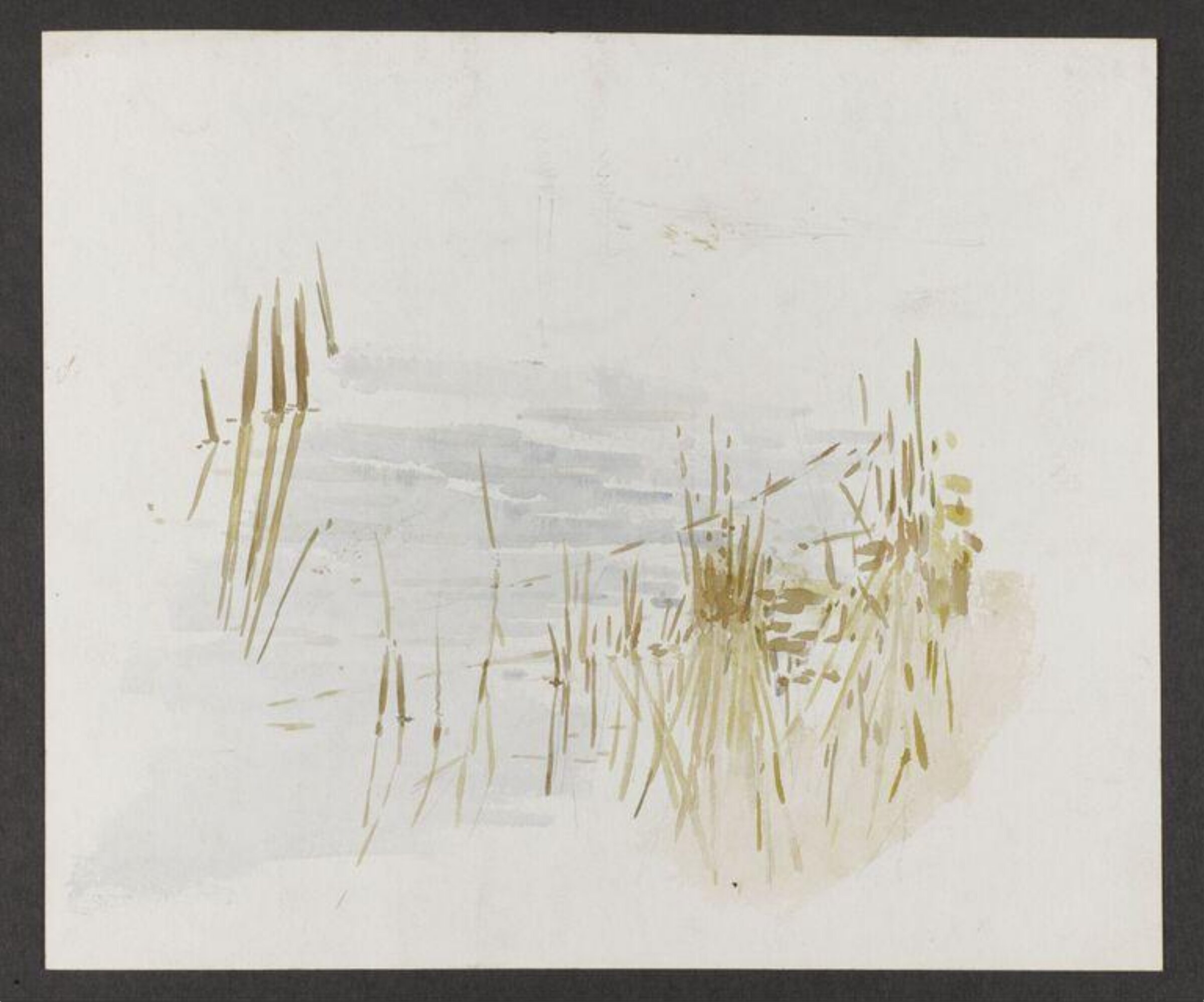 Watercolour, Beatrix Potter, late 19th century - early 20th century