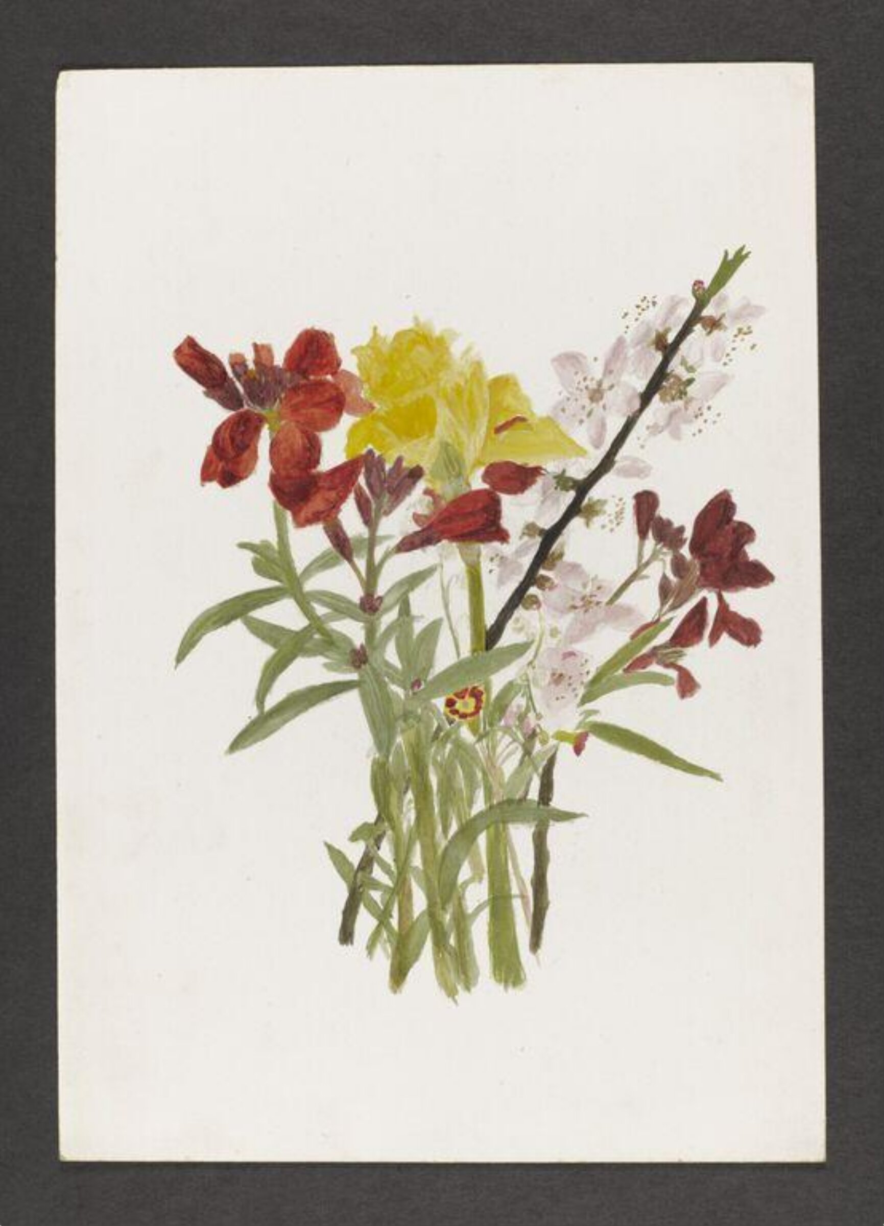 Watercolour, Beatrix Potter, ca.1880