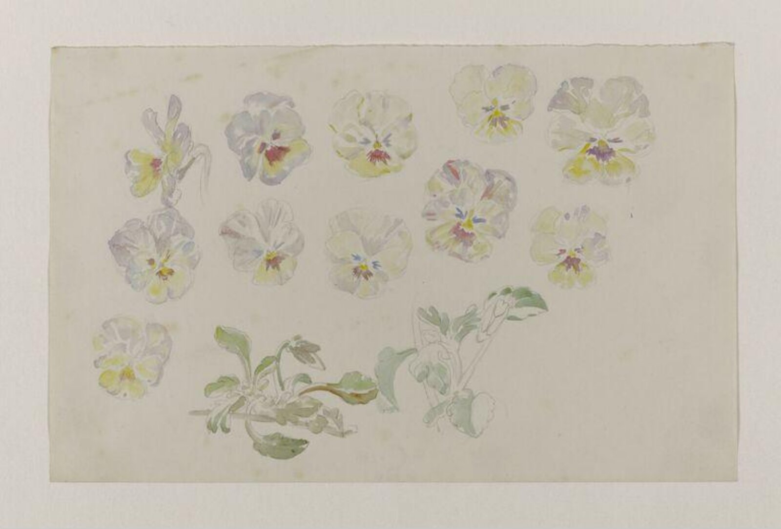 Watercolour, Beatrix Potter, late 19th century - early 20th century