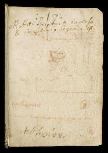 Leonardo da Vinci: Anatomist 新品未開封 Amazon.com: Leonardo Da Vinci: Anatomist: 9781905686391