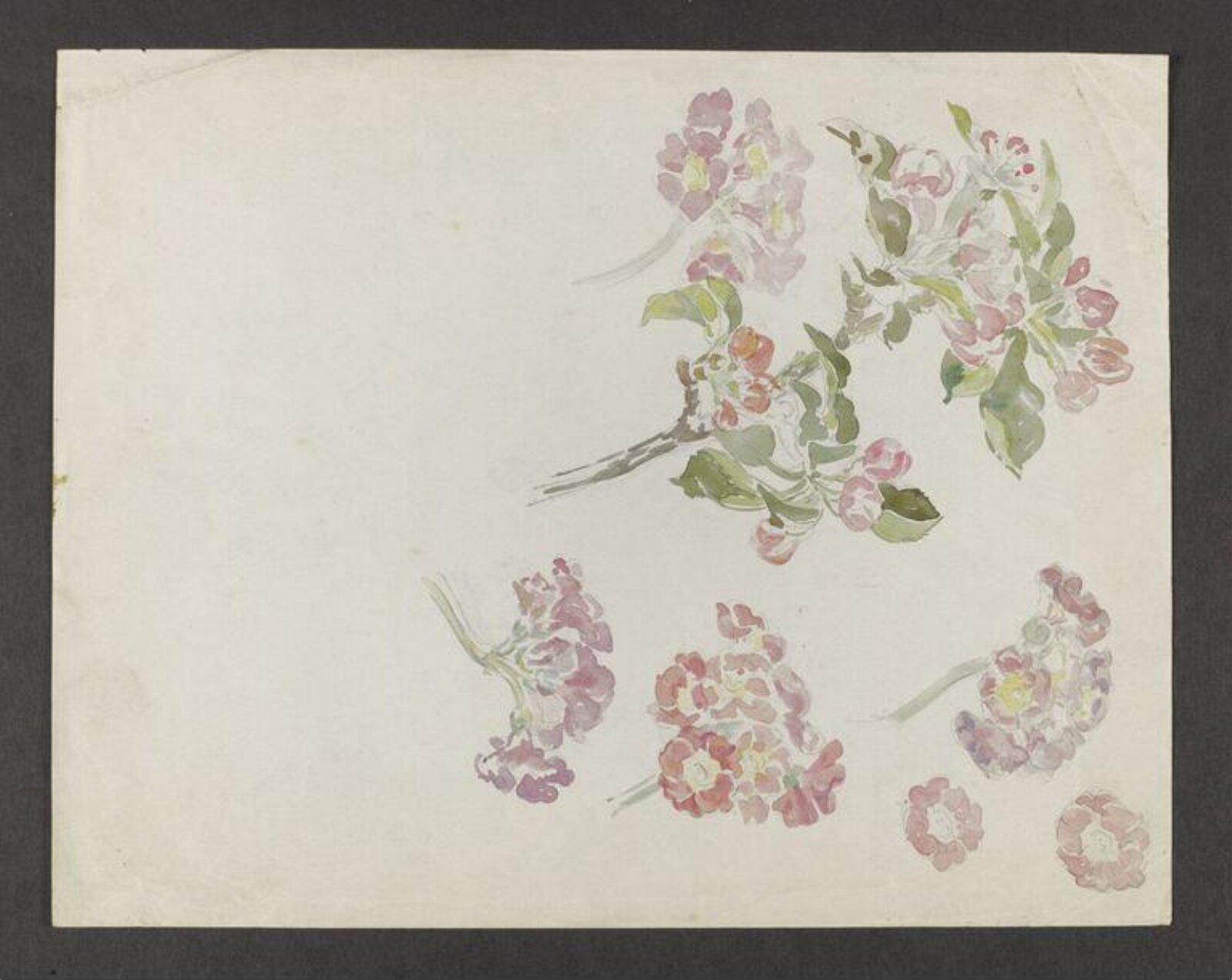 Watercolour, Beatrix Potter, late 19th century - early 20th century