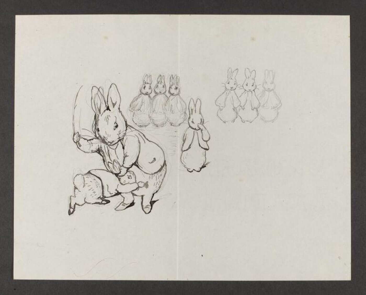 Potter, Beatrix, drawing