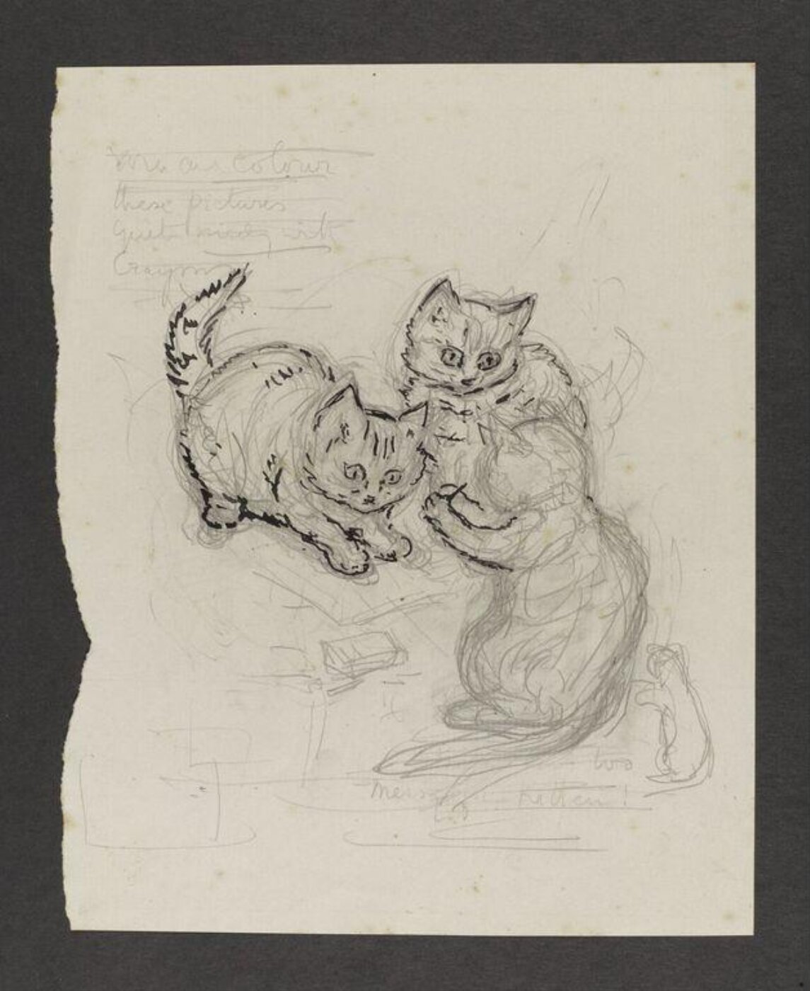 Potter, Beatrix, drawing