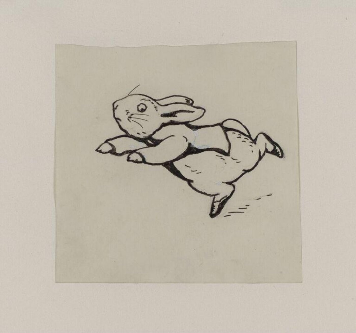 Potter, Beatrix, drawing