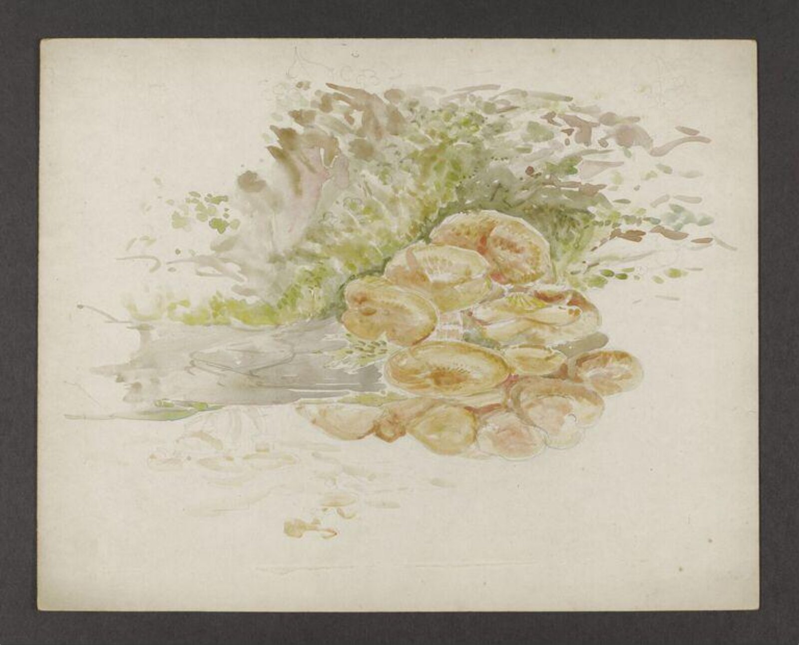 Watercolour, Beatrix Potter, late 19th century