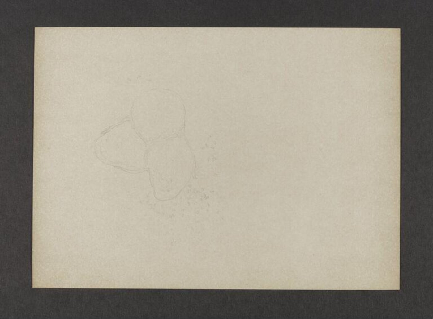 Potter, Beatrix, drawing