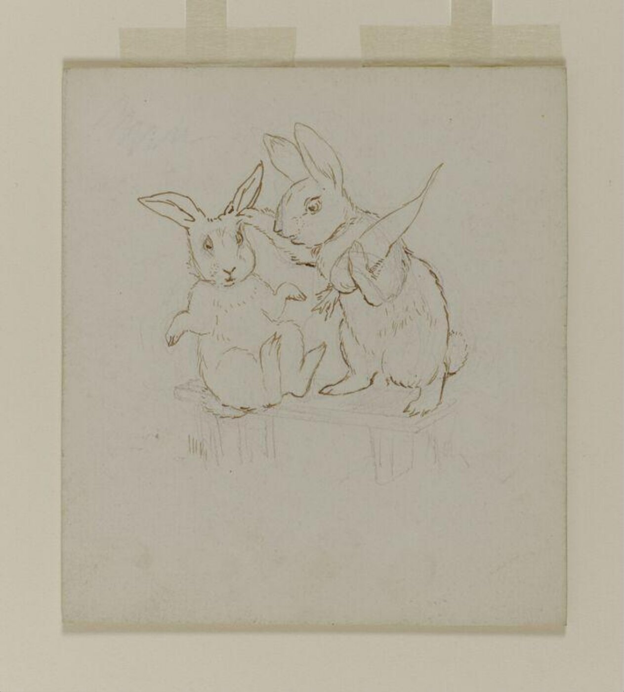 Potter, Beatrix, drawing