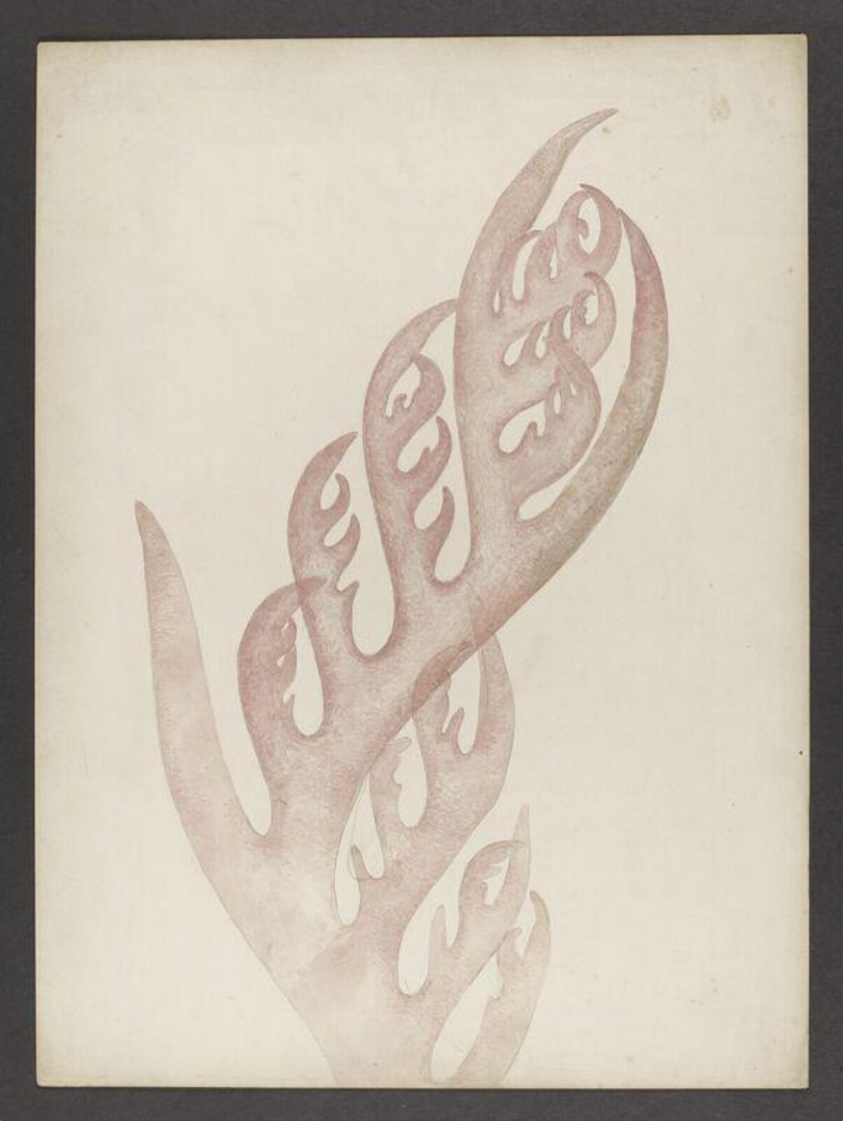 Watercolour, Beatrix Potter, November 1886