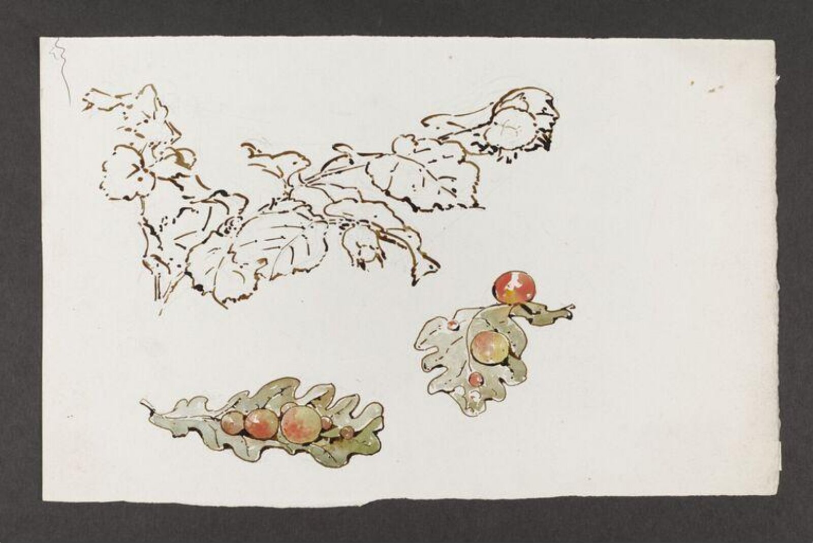 Watercolour, Beatrix Potter, late 19th century - early 20th century