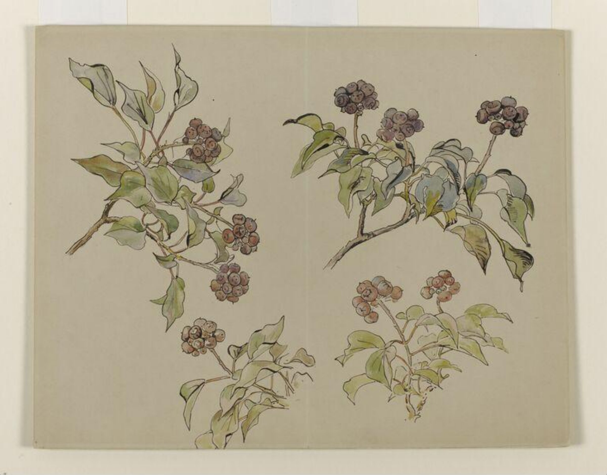 Watercolour, Beatrix Potter, late 19th century - early 20th century