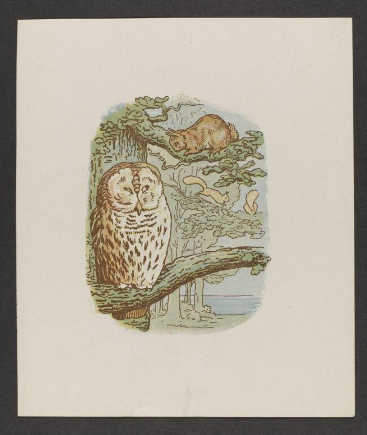 Potter, Beatrix, Peter Rabbit's Painting Book