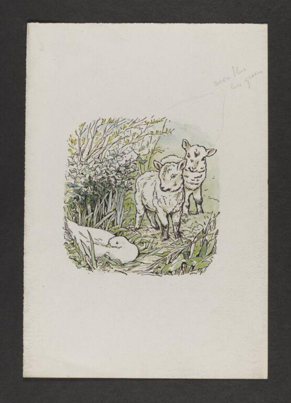 Potter, Beatrix, Peter Rabbit's Painting Book