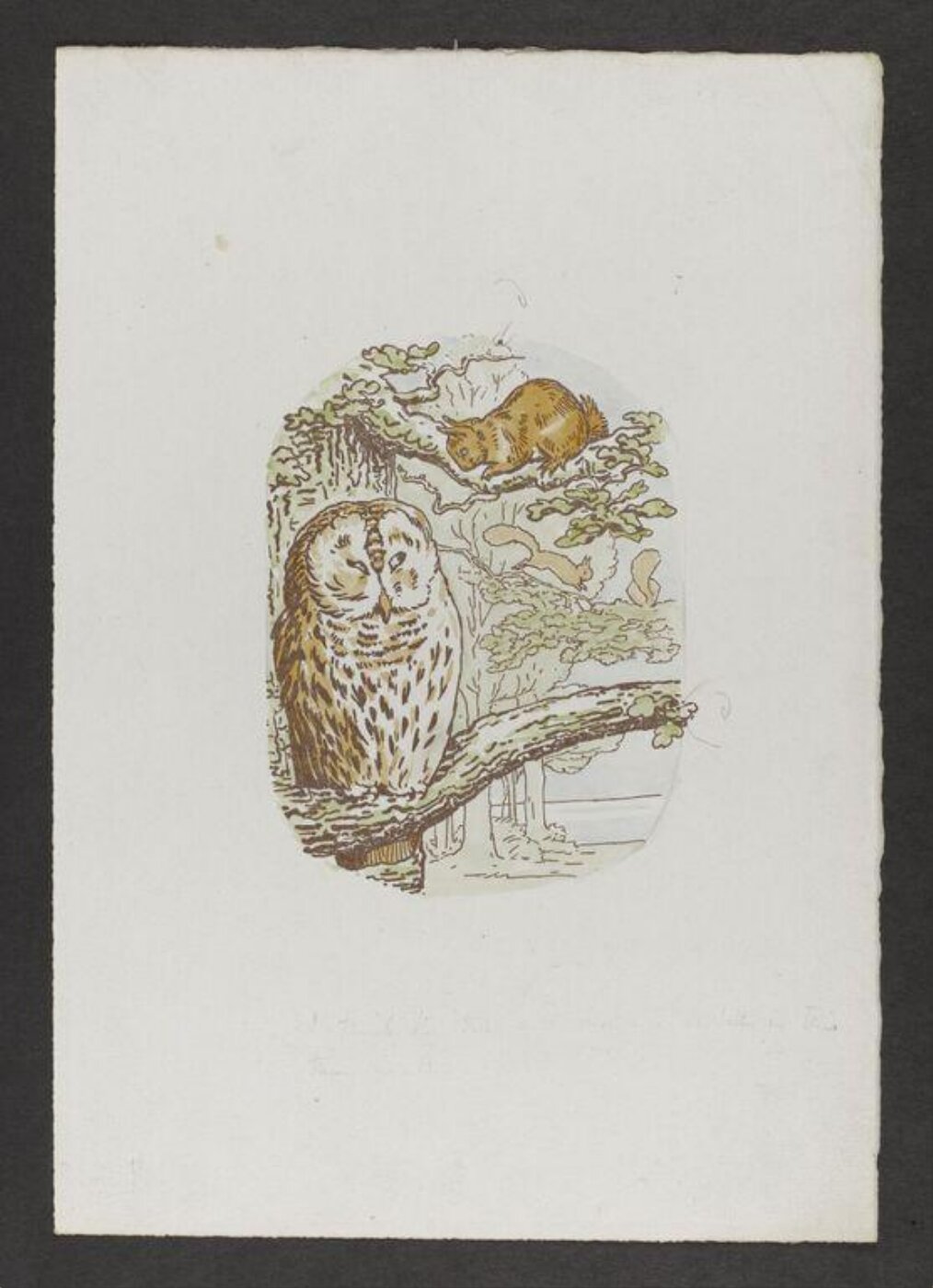 Potter, Beatrix, Peter Rabbit's Painting Book