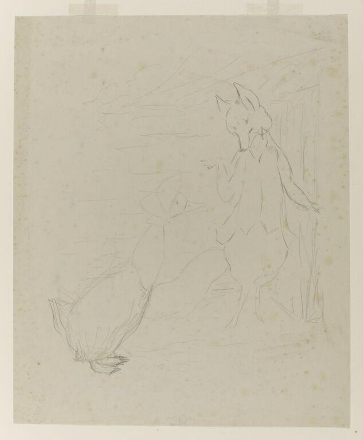Potter, Beatrix, drawing