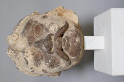 Head, 5th Century