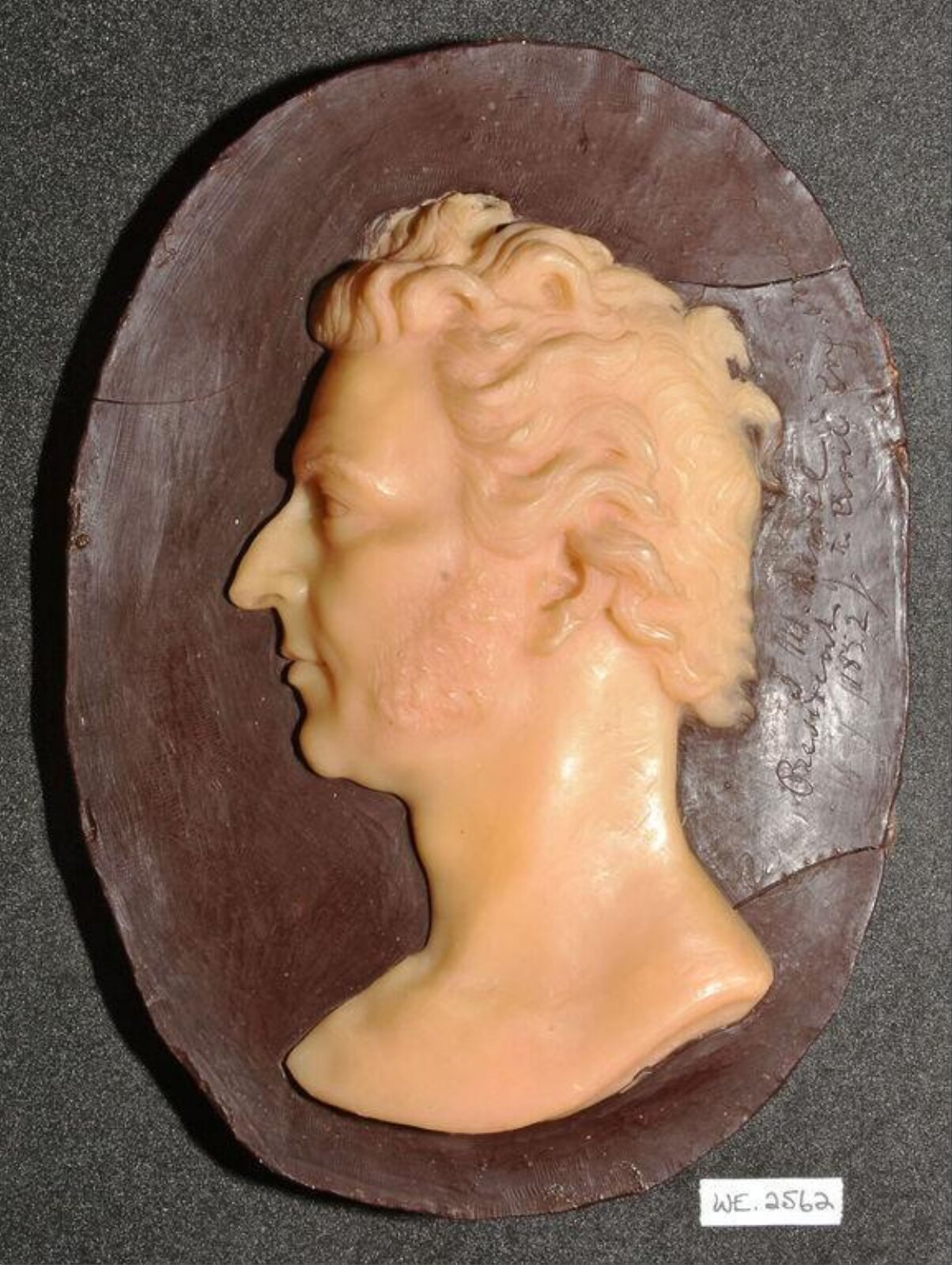 Wax model