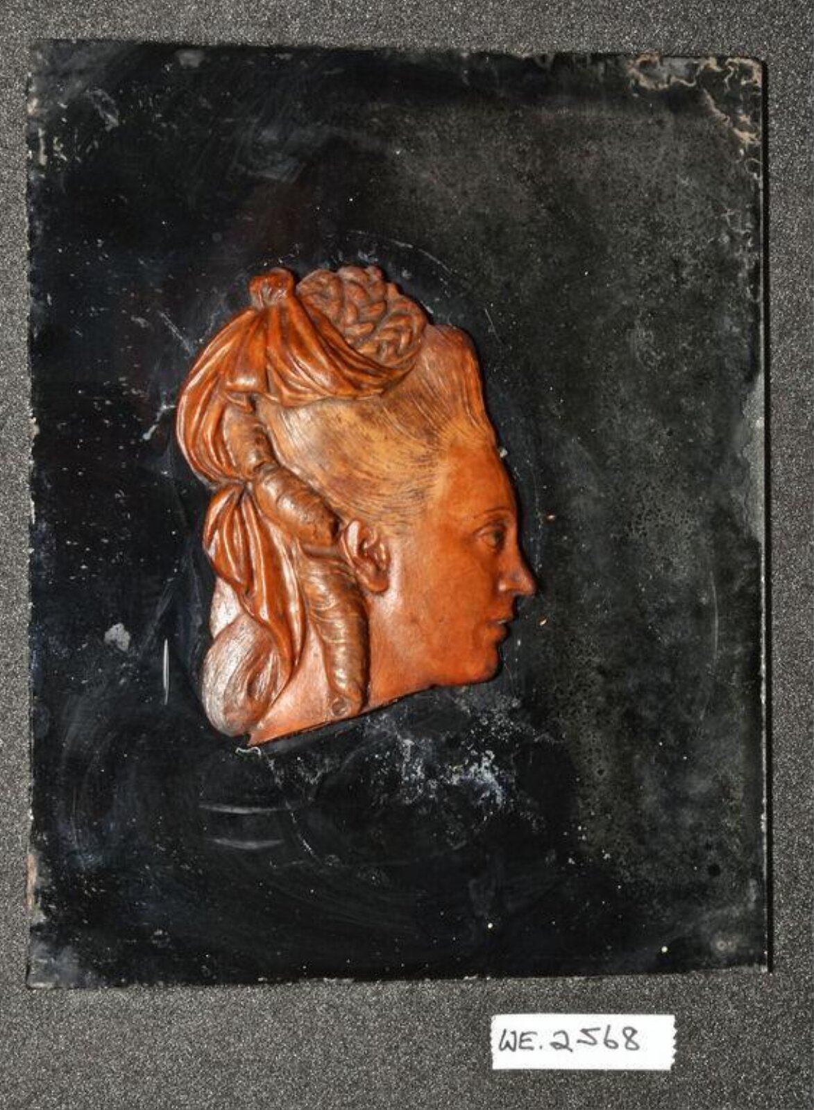 Wax model
