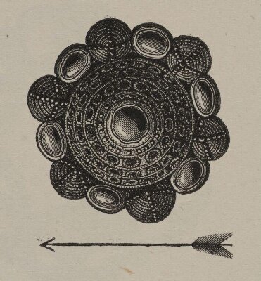The Industrial Arts of Scandinavia