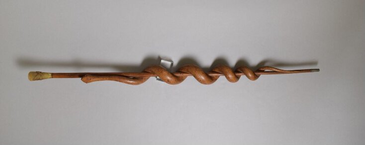 Walking Stick top image