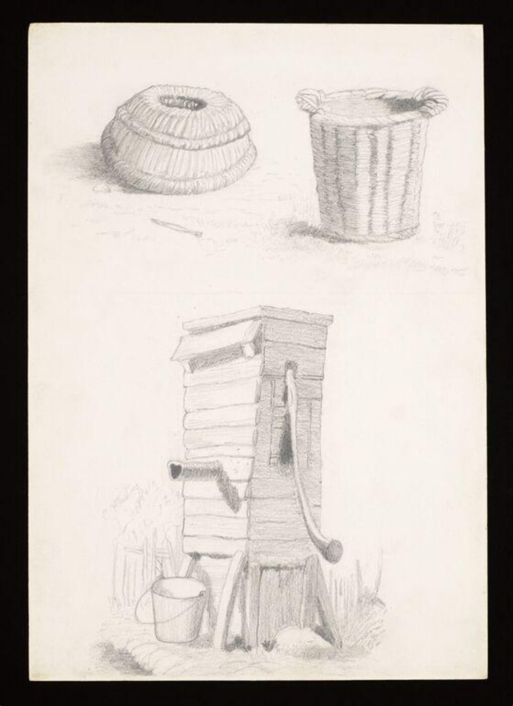Potter, Beatrix, drawing